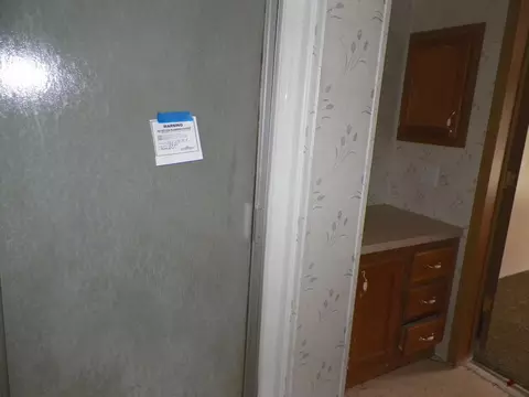 15780 Riverside Trl, Wolverine, MI 49799 photo 13