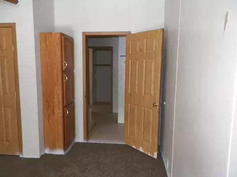 15780 Riverside Trl, Wolverine, MI 49799 photo 10