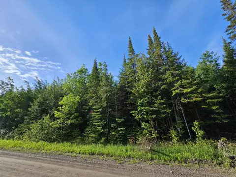Schramm Road, Indian River, MI 49749