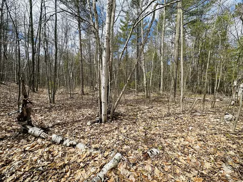 14117 Vaness Dr #LOT S 626 & 625, Cheboygan, MI 49721