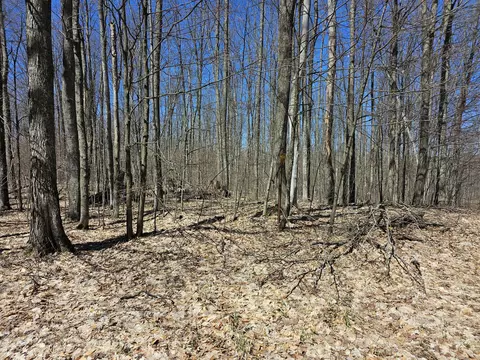 Undisclosed, Frederic, MI 49733 photo 7