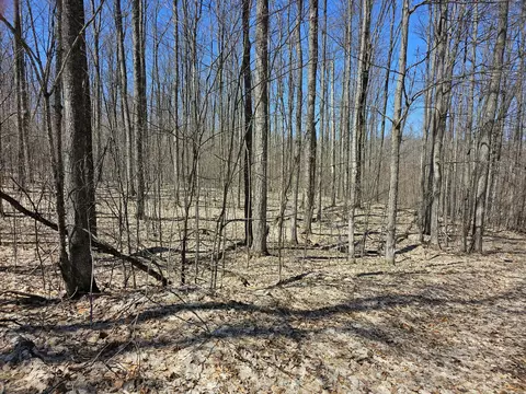 Undisclosed, Frederic, MI 49733 photo 10