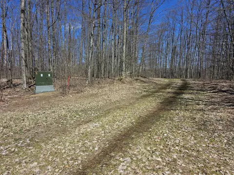 Undisclosed, Frederic, MI 49733 photo 3