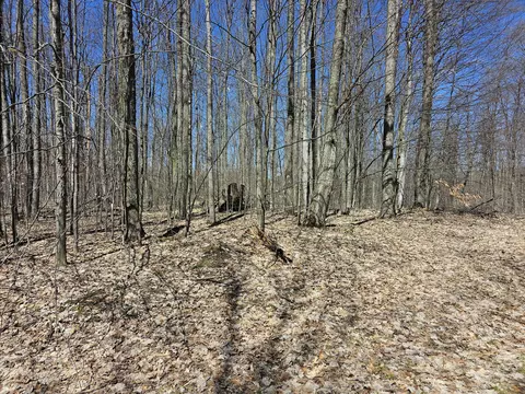 Undisclosed, Frederic, MI 49733 photo 6