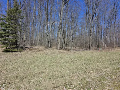 Undisclosed, Frederic, MI 49733 photo 4
