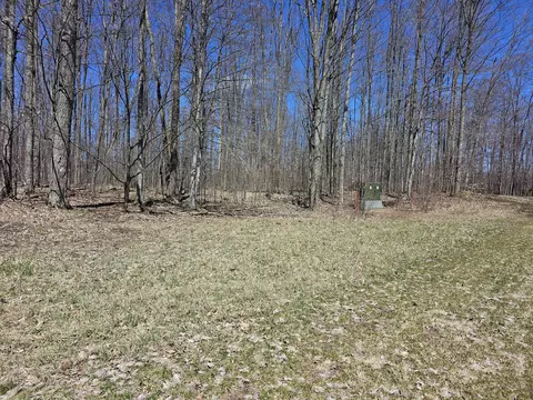 Undisclosed, Frederic, MI 49733