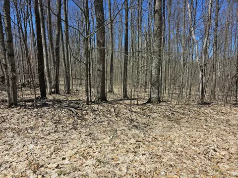 Undisclosed, Frederic, MI 49733 photo 9