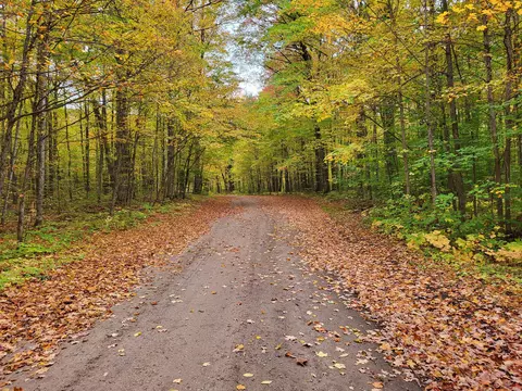 Mt. Frederick Road, Gaylord, MI 49735