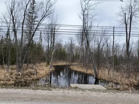 center street, Alpena, MI 49707