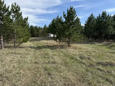 2404 Sunny Ridge Lane 95 Acres - Comins Mi 48619 Ln #9.5 ACRES +/-, Comins, MI 48619