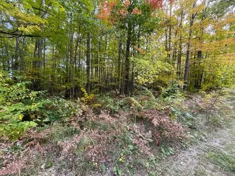 lot10 Fairway Dr, Roscommon, MI 48653