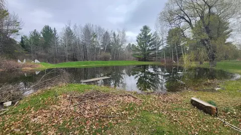 View/Area - 4162 Lutz Road Lupton Mi 48635 Rd, Lupton, MI 48635 photo 1 of 3