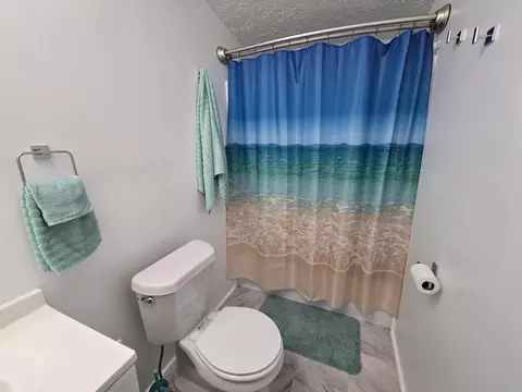 Bath - 14 Loshaw Dr, Vanderbilt, MI 49795 photo 3 of 7