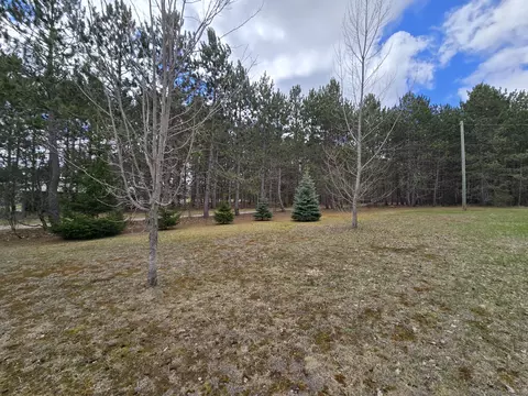 Exterior - 14 Loshaw Dr, Vanderbilt, MI 49795 photo 8 of 15