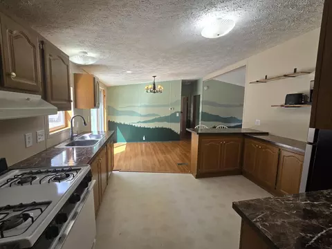 Kitchen - 14 Loshaw Dr, Vanderbilt, MI 49795 photo 2 of 3
