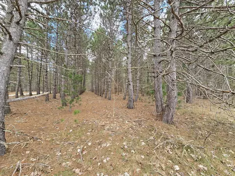 Exterior - 14 Loshaw Dr, Vanderbilt, MI 49795 photo 9 of 15