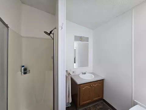 Bath - 14 Loshaw Dr, Vanderbilt, MI 49795 photo 2 of 7