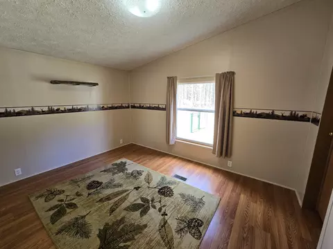 Other - 14 Loshaw Dr, Vanderbilt, MI 49795 photo 4 of 11