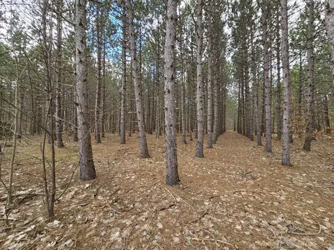 View/Area - 14 Loshaw Dr, Vanderbilt, MI 49795 photo 1 of 2