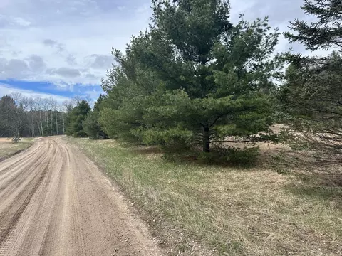 Gardenia Trail, Grayling, MI 49738