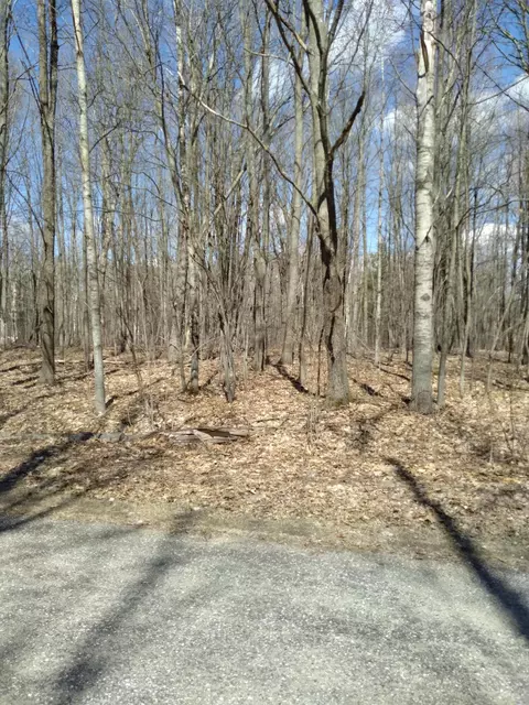lot69 Louise Circle Elmira Mi 49730 Cir, Elmira, MI 49730
