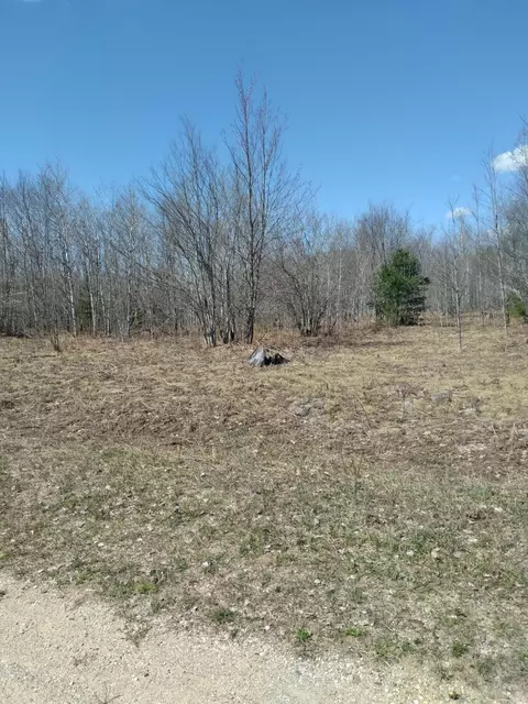 lot34 Fallbrook Court Mancelona Mi 49659 Ct, Mancelona, MI 49659