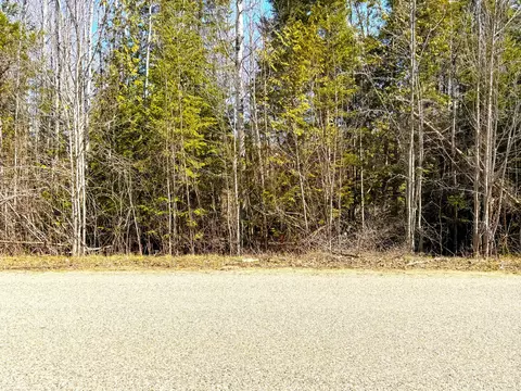Off Mcdonald Road #17 ACRES, Cheboygan, MI 49721