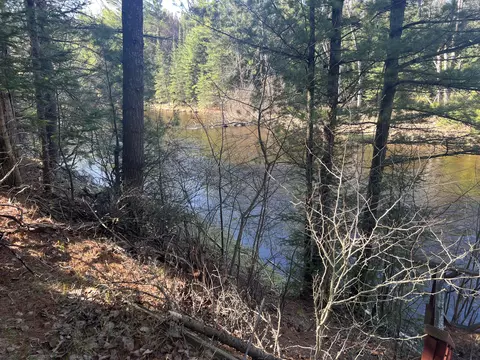 View/Area - 11298 Red Pine Drive Grayling Mi 49738 Dr, Grayling, MI 49738 photo 4 of 4