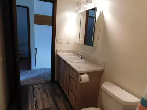 Bath - 4959 E North Down River Road Grayling Mi 49738 Rd, Grayling, MI 49738 photo 3 of 3