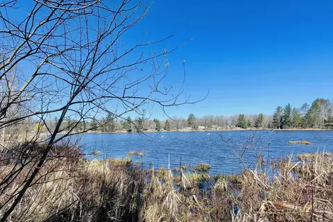 lot142 Hiawatha Trail Atlanta Mi 49709, Atlanta, MI 49709