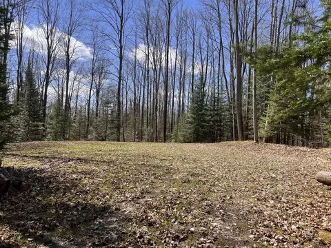7483 M-32, Johannesburg, MI 49751