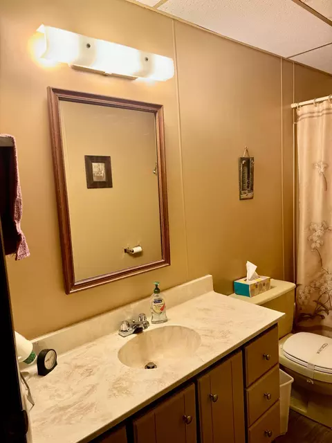Bath - 541 S Circle Drive Mio Mi 48647 Dr, Mio, MI 48647 photo 1 of 3