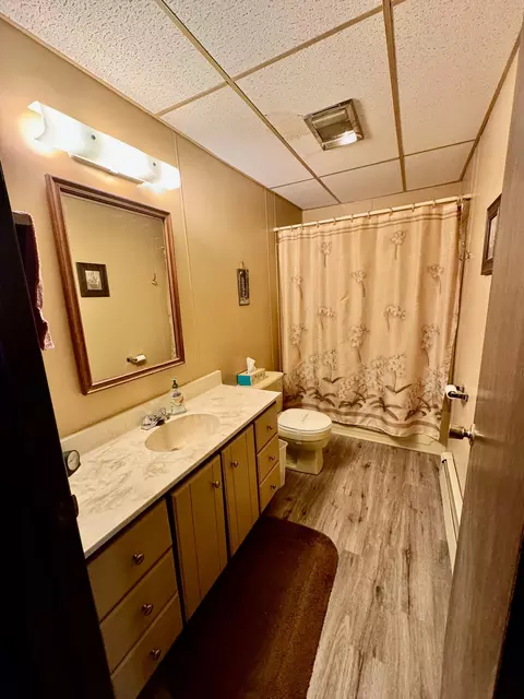 Bath - 541 S Circle Drive Mio Mi 48647 Dr, Mio, MI 48647 photo 3 of 3