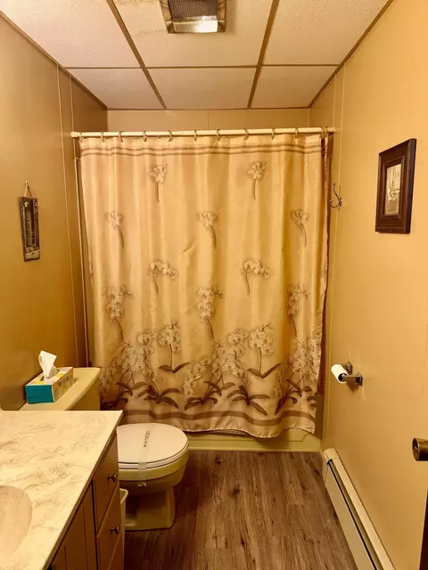 Bath - 541 S Circle Drive Mio Mi 48647 Dr, Mio, MI 48647 photo 2 of 3