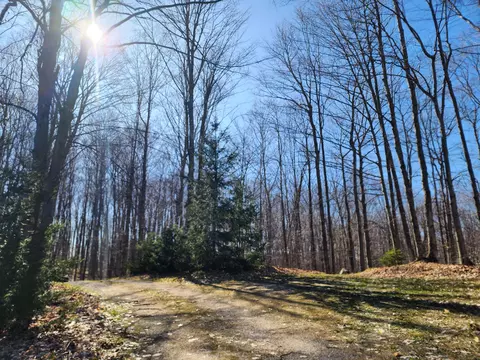 1275 Rogers Road Fairview Mi 48621 Rd, Fairview, MI 48621 photo 53