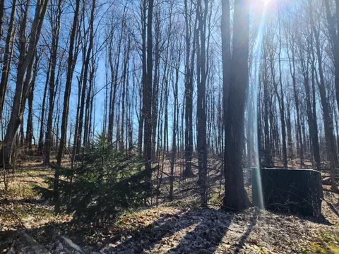 1275 Rogers Road Fairview Mi 48621 Rd, Fairview, MI 48621 photo 54