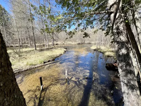 View/Area - 7123 Hiawatha Dr, Frederic, MI 49733 photo 3 of 4