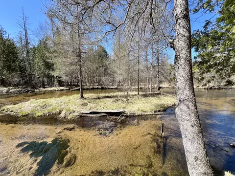 Exterior - 7123 Hiawatha Dr, Frederic, MI 49733 photo 9 of 14