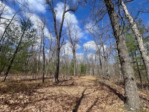 Emery Road, Houghton Lake, MI 48629
