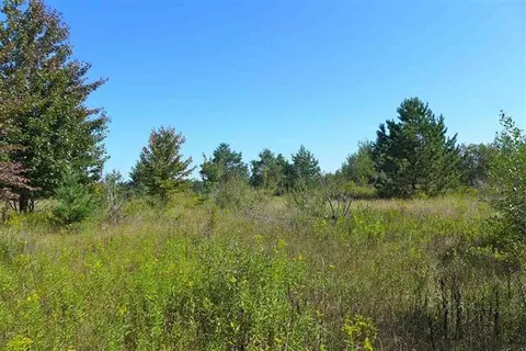 6640 Carey Road Cheboygan Mi 49721 Rd, Cheboygan, MI 49721