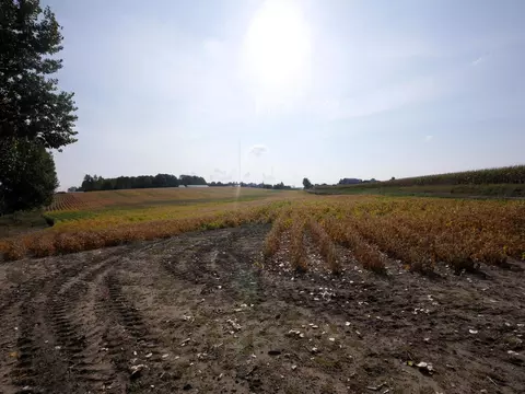 N Ward Branch Road, Rogers City, MI 49779