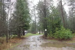 Killeen Trail, Grayling, MI 49738