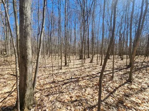 lot573 Ferngrove Court Gaylord Mi 49735 Ct, Gaylord, MI 49735