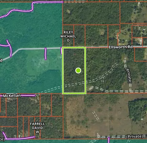 Ellsworth Road, Lewiston, MI 49756