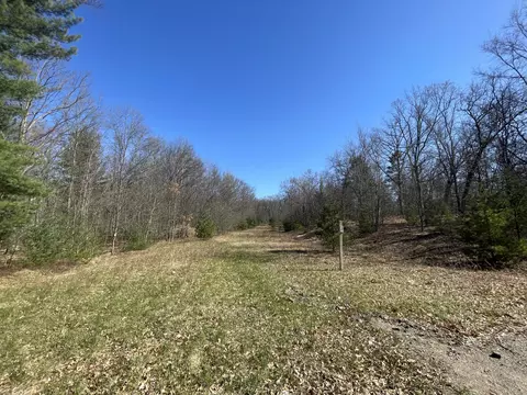 10 Acres Rolling Oak Lane Roscommon Mi 48653 Ln, Roscommon, MI 48653 photo 4