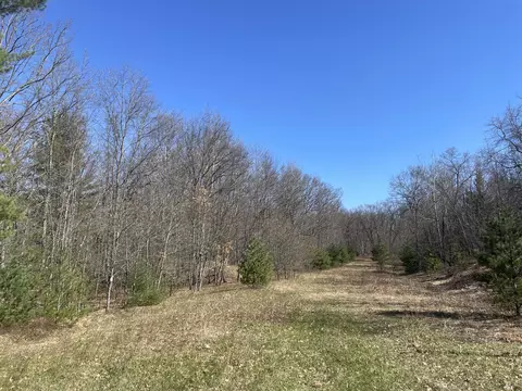 10 Acres Rolling Oak Lane Roscommon Mi 48653 Ln, Roscommon, MI 48653