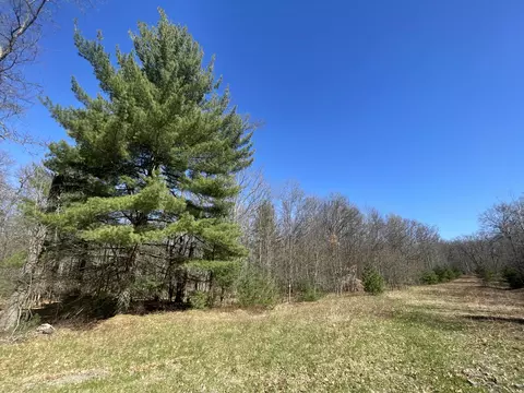 10 Acres Rolling Oak Lane Roscommon Mi 48653 Ln, Roscommon, MI 48653 photo 3