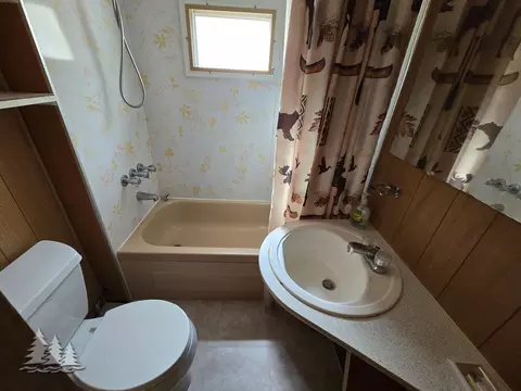 Bath - 3601 Harmony Ct, Lewiston, MI 49756 photo 2 of 2