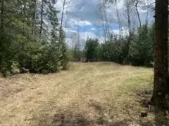Lincoln Bay Drive, Alpena, MI 49707
