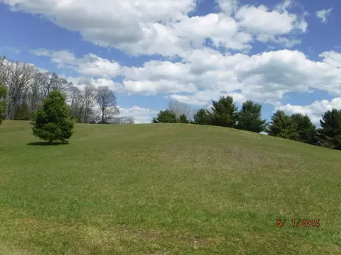 4338 E Clark Rd, Harrisville, MI 48740